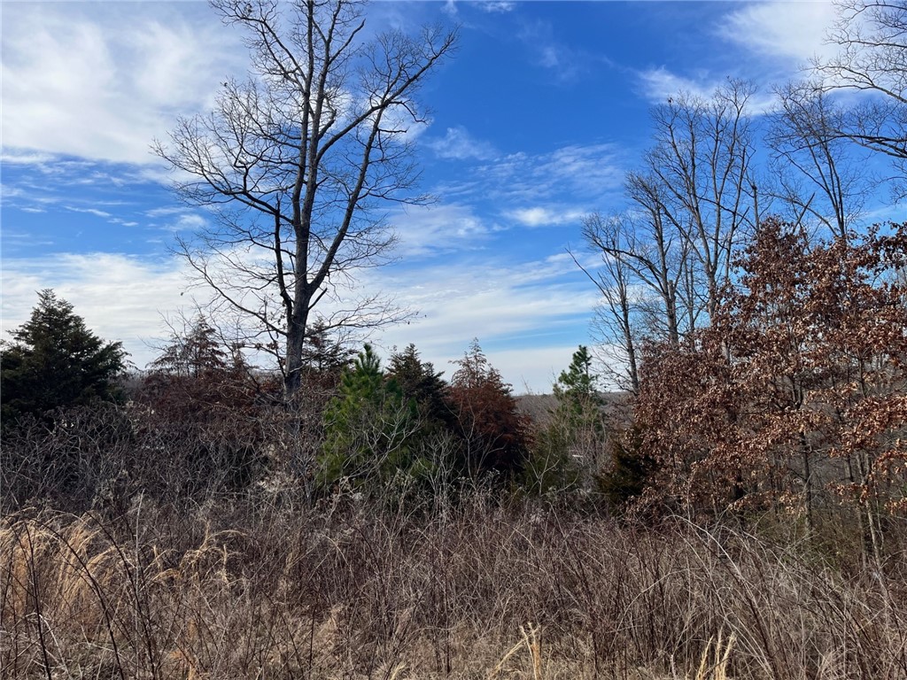 Harrington - Land