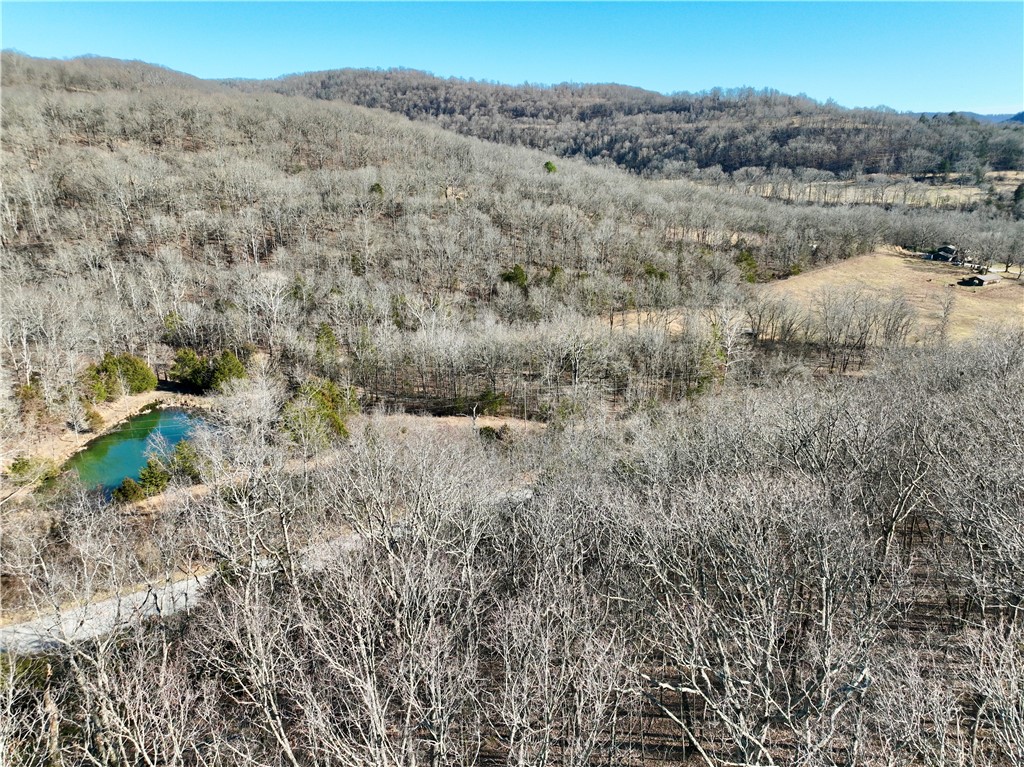 Stunning lot in scenic Hazel Valley with paved road frontage and panoramic Ozark views. Utilities including water and electric are adjacent, making it ideal for an RV or weekend campsite. Enjoy peaceful rural living just a short drive from Fayetteville and close to Mill Creek OHV trails. A prime opportunity for recreation, relaxation, or investment.