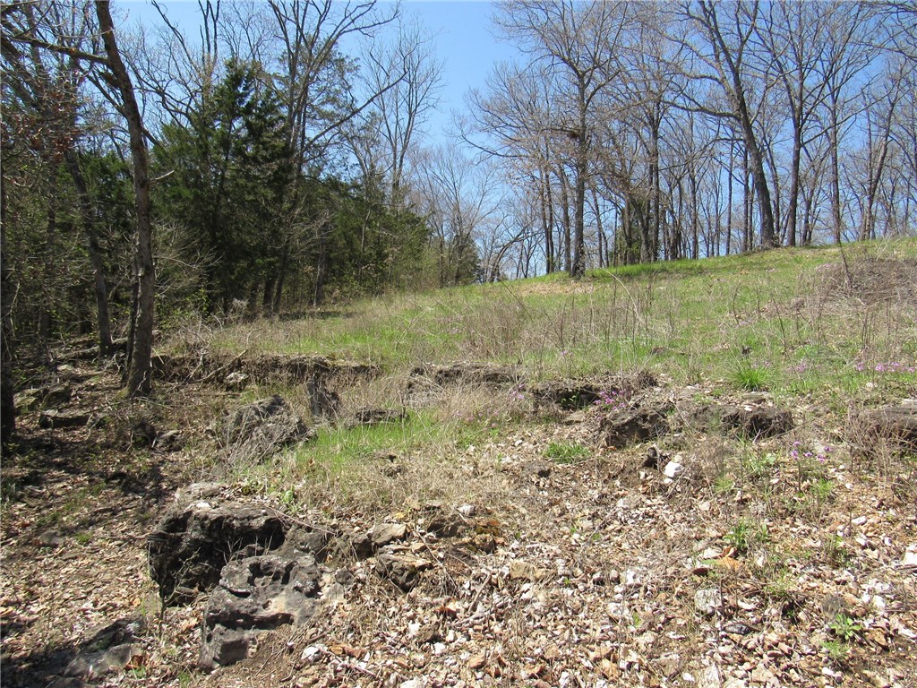 Del Lago Estates Unit 1 Rurban - Land