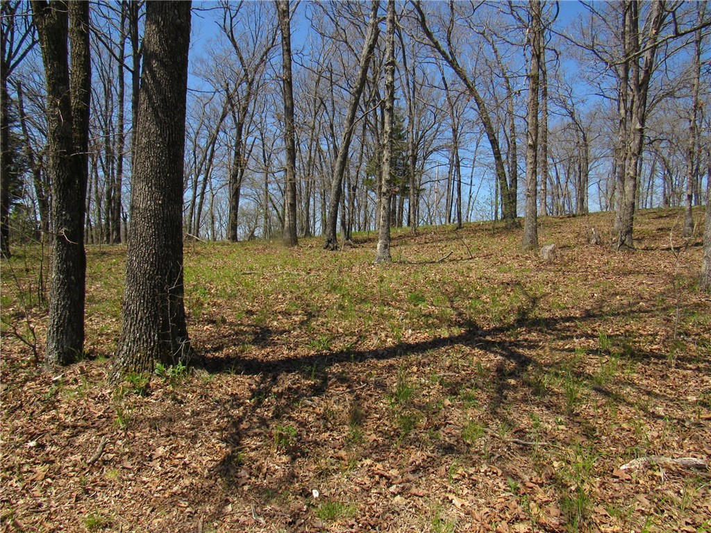 Del Lago Estates Unit 1 Rurban - Land