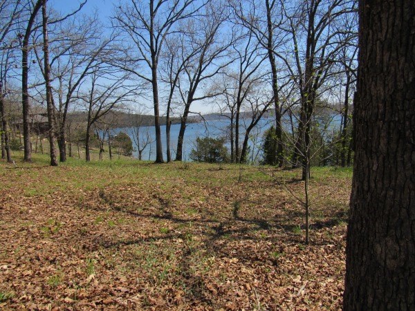 Del Lago Estates Unit 1 Rurban - Land