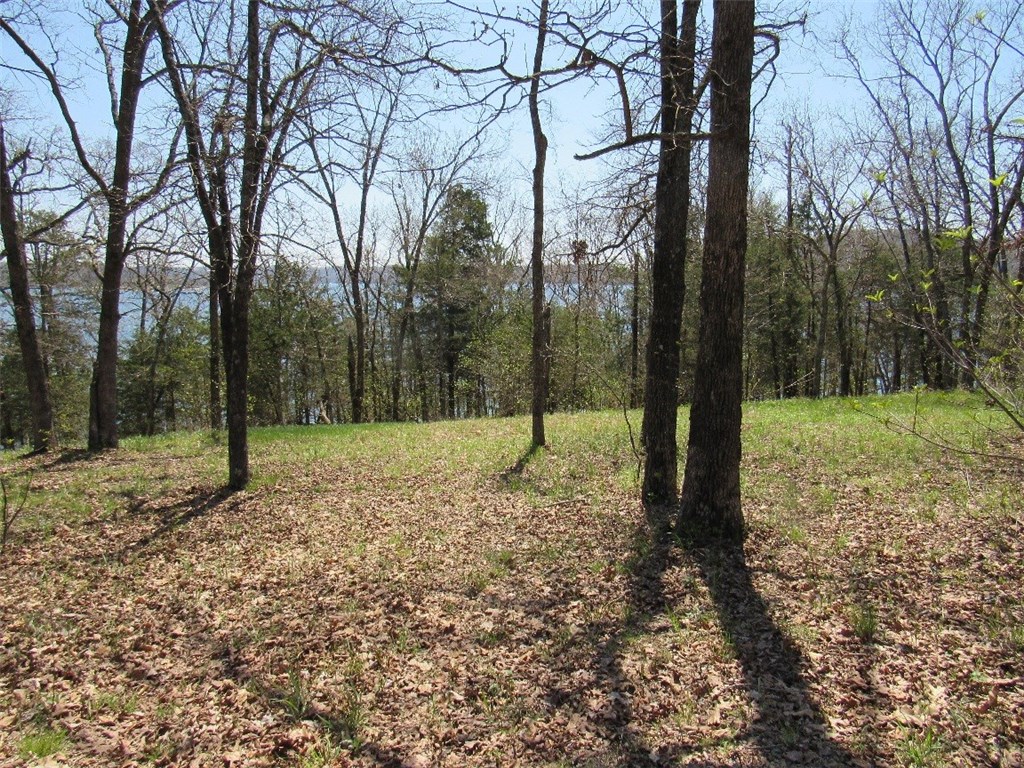 Del Lago Estates Unit 1 Rurban - Land