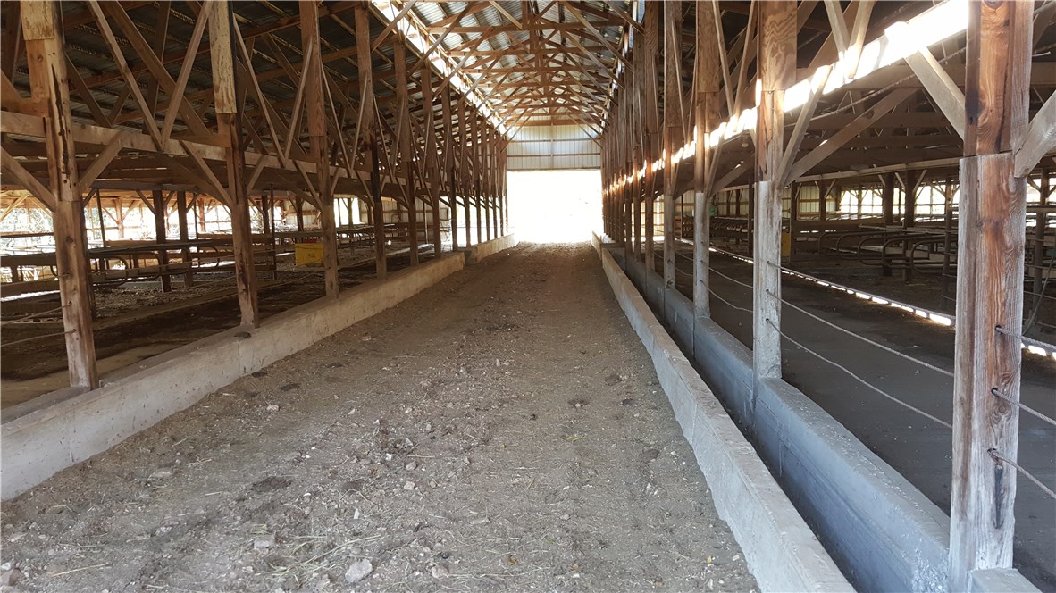 none - Farm