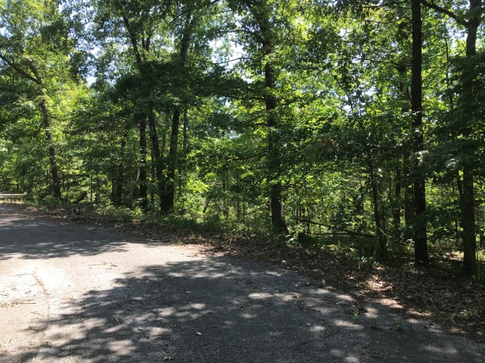 Thompson Estates Bvv - Land