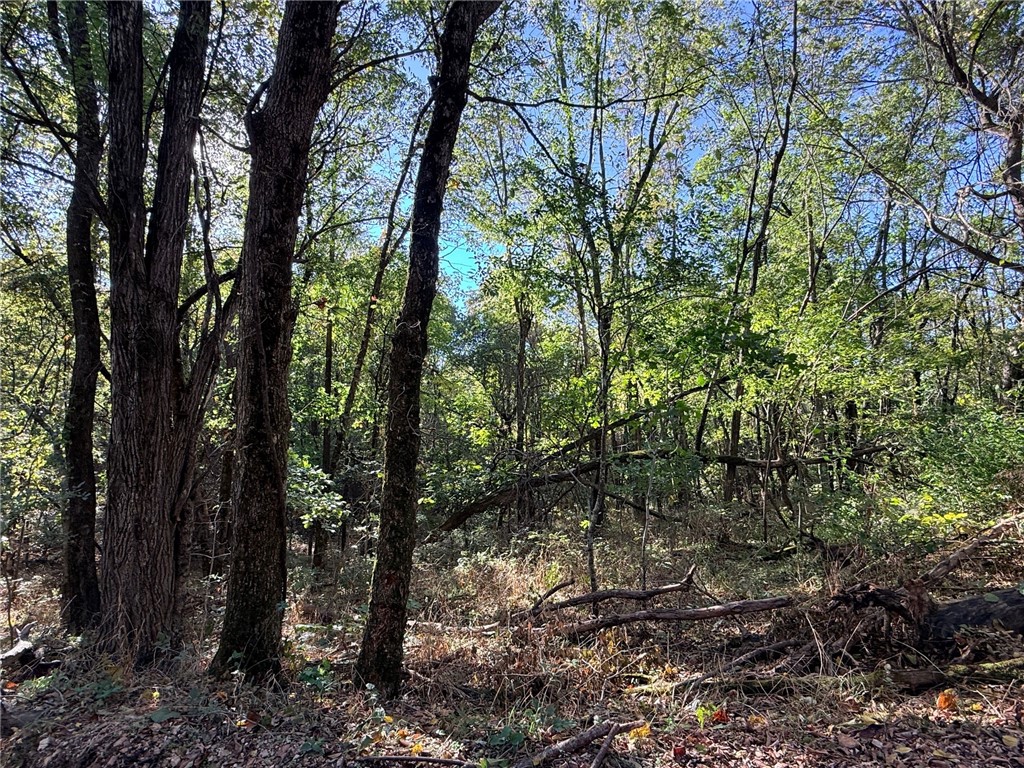 Peaceful and private, this 5-acre wooded tract offers the perfect setting for your dream home or weekend getaway. The property is densely wooded with mature trees, providing natural beauty and seclusion.
Electric is available at the road, and a private well and septic will be needed. Conveniently located just minutes from Berryville and a short drive to Eureka Springs and Table Rock Lake, this land offers quiet country living with easy access to town.