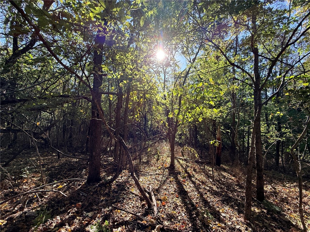 Blue Mtn Ranchettes#3 - Land