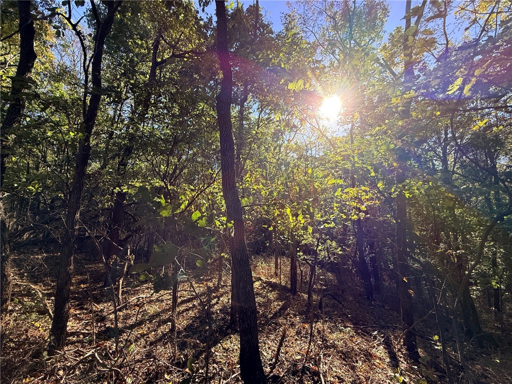 Blue Mtn Ranchettes#3 - Land