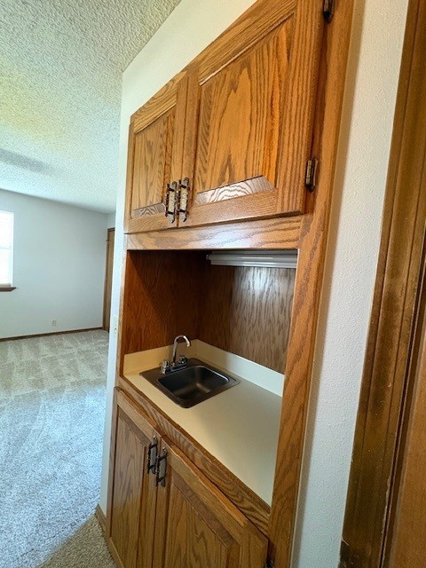 Turtle Creek Place Unit 1 Rogers - Residential