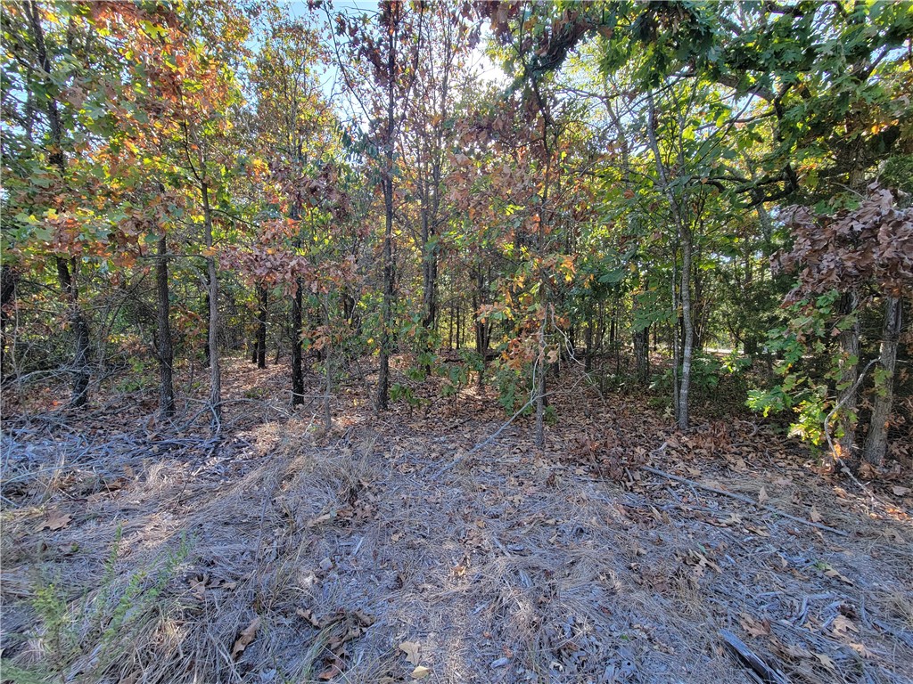 Corner, flat lot located near Loch Lomond with quick and easy access to the interstate.