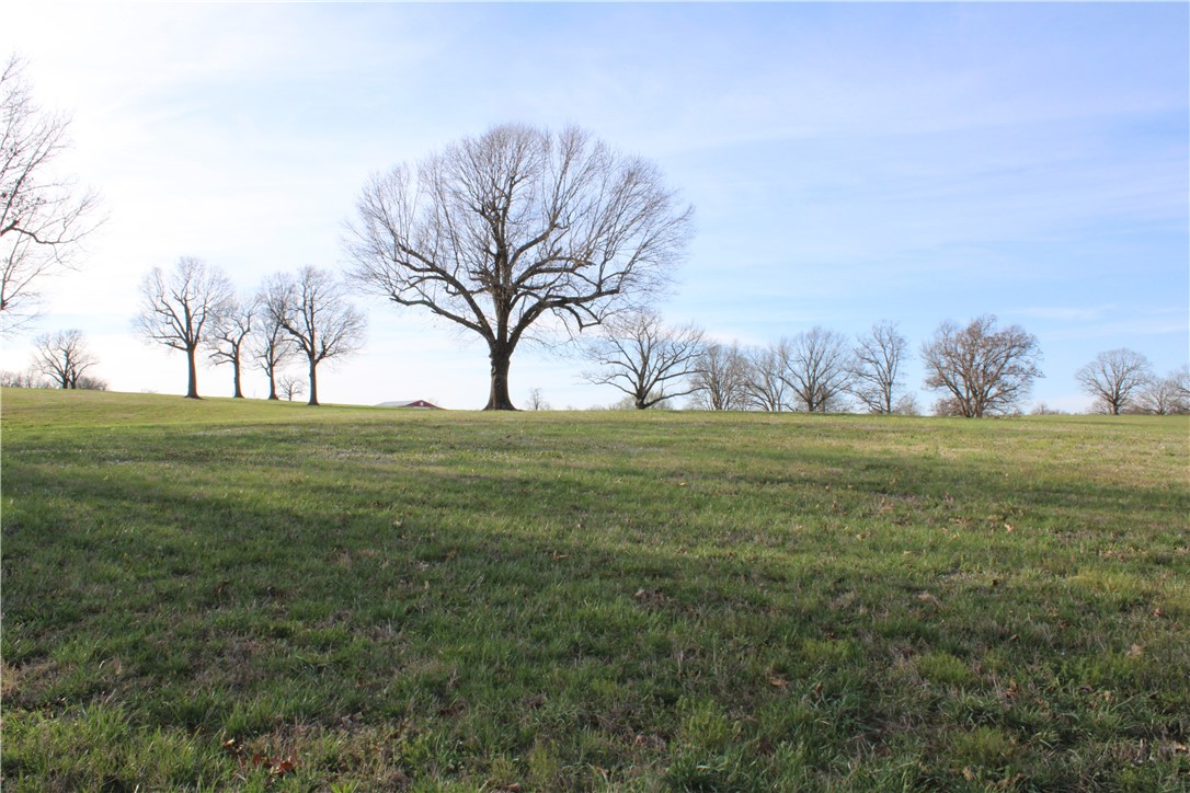 Northern Trace - Land