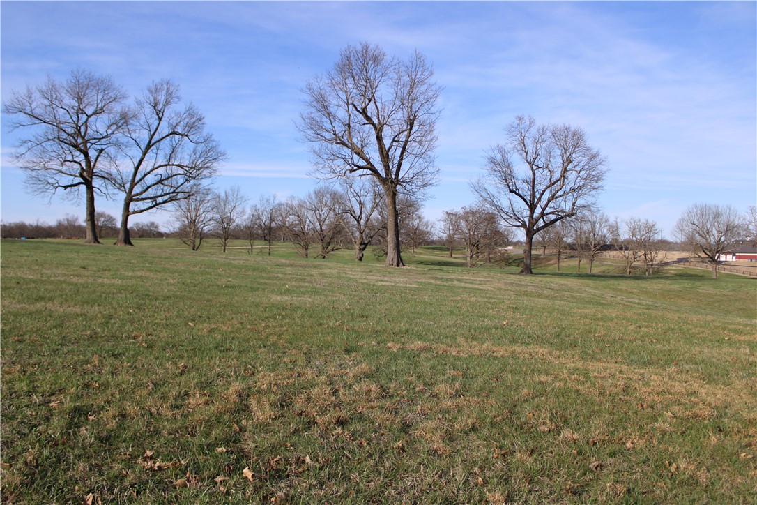Northern Trace - Land