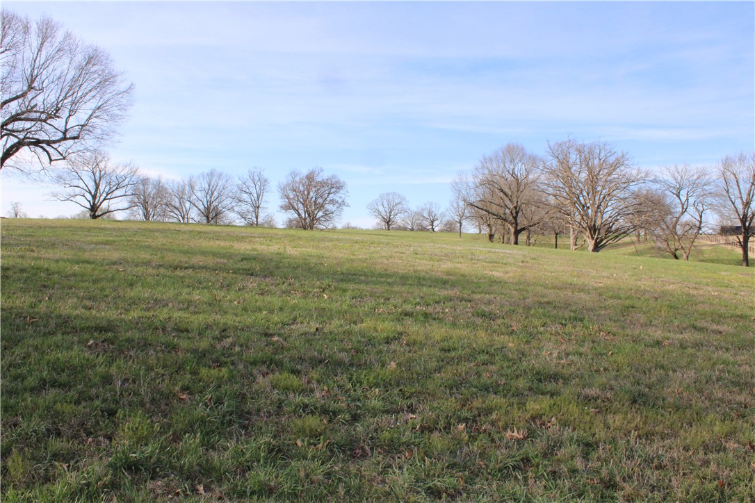 Northern Trace - Land