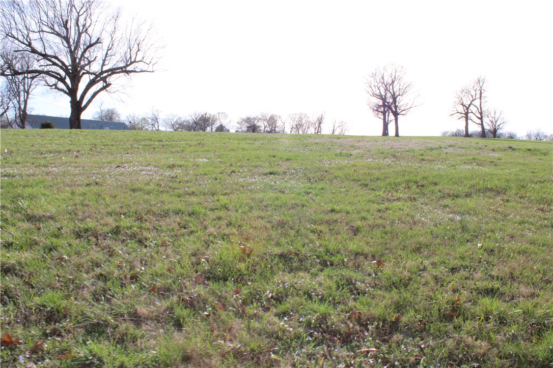 Northern Trace - Land