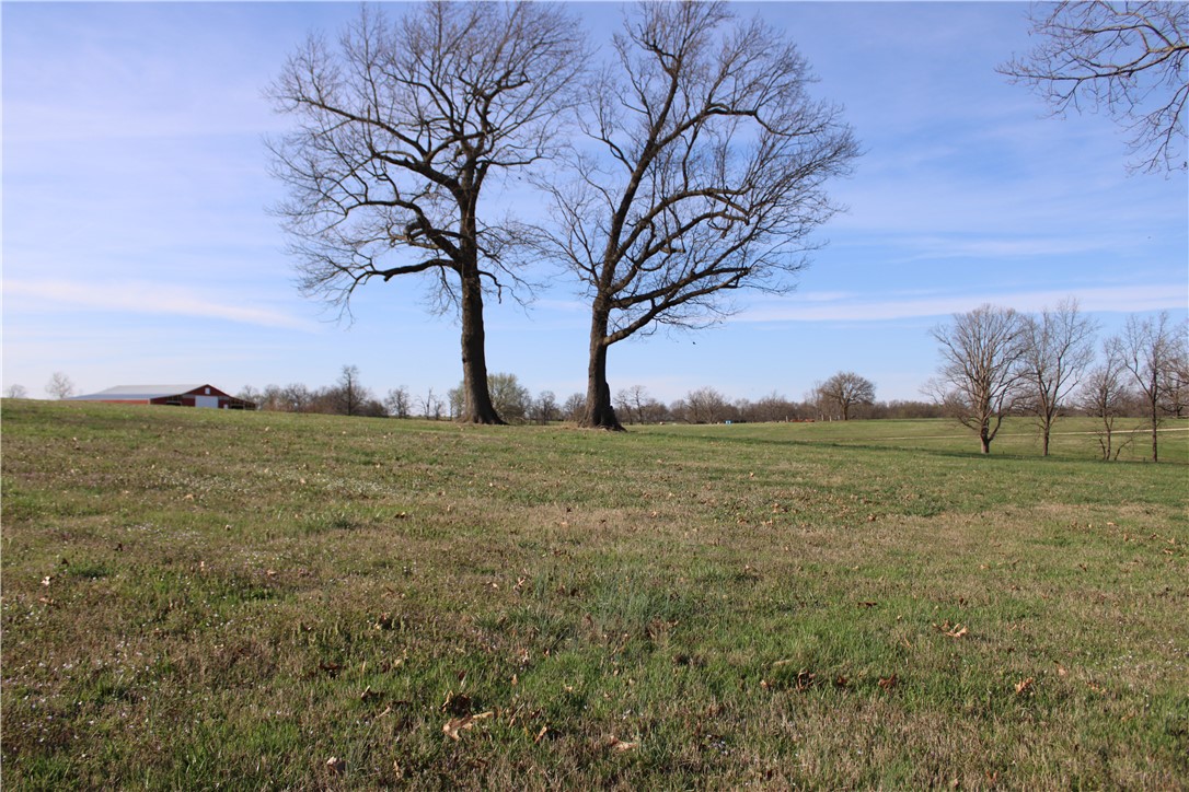 Northern Trace - Land