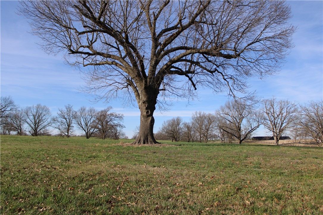 Northern Trace - Land
