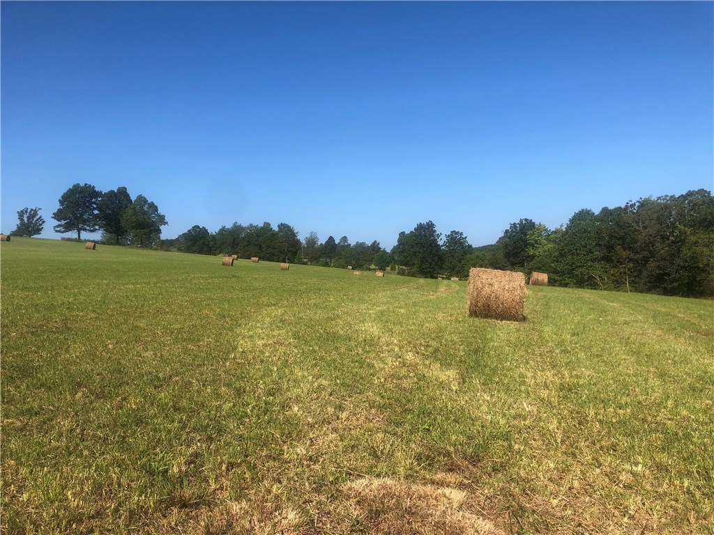 Build your home on this Beautiful Rolling 65 Acres, with Spectacular Mountain Views. Live water stream on 2 sides, 2 ponds, 3 springs. 45 Acres fenced for cattle. Rural water line runs through the front of the property. Great building area close to where rural water line is. 35 Acres cleared and gently rolling/flat. Great for cattle. Land has  been well taken care of!!! Buffalo River just minutes from property.