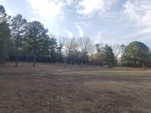 Buckpoint - Residential