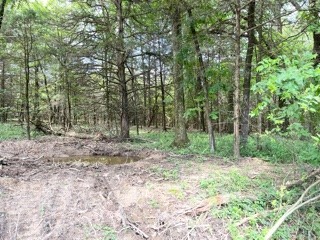 -- - Land