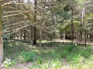 -- - Land