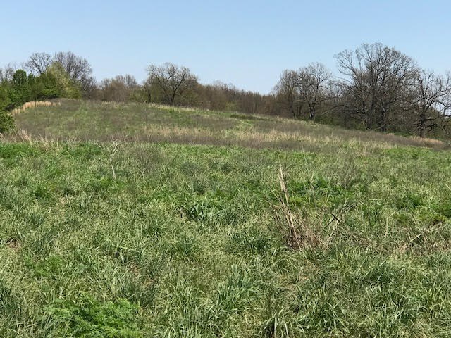 Johnson Outlots - Land