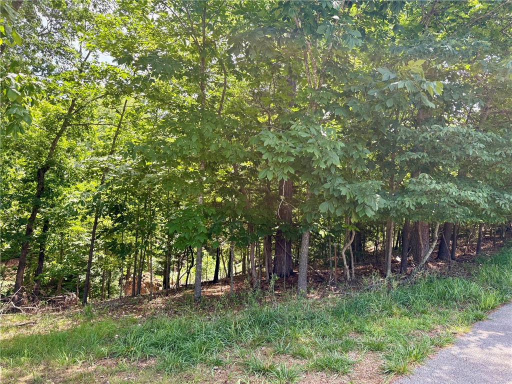 : Imagine waking up to the possibility of lake living on .65 acres on Acapulco Drive in Rivercliff Village. This sloped homesite offers the opportunity to design your dream home with potential seasonal lake views and room for a fully finished walkout basement. Tucked on a quiet street, the property blends peaceful surroundings with easy access to everyday convenience. You’re just 14 minutes from grocery stores, coffee shops, and restaurants, while still being close to everything Northwest Arkansas has to offer. Spend weekends exploring, launching the boat from only 10 minutes away, or hitting the trails at just 8 minutes from your doorstep. Enjoy the best of both worlds—nature-filled days and vibrant town nights—all within reach.