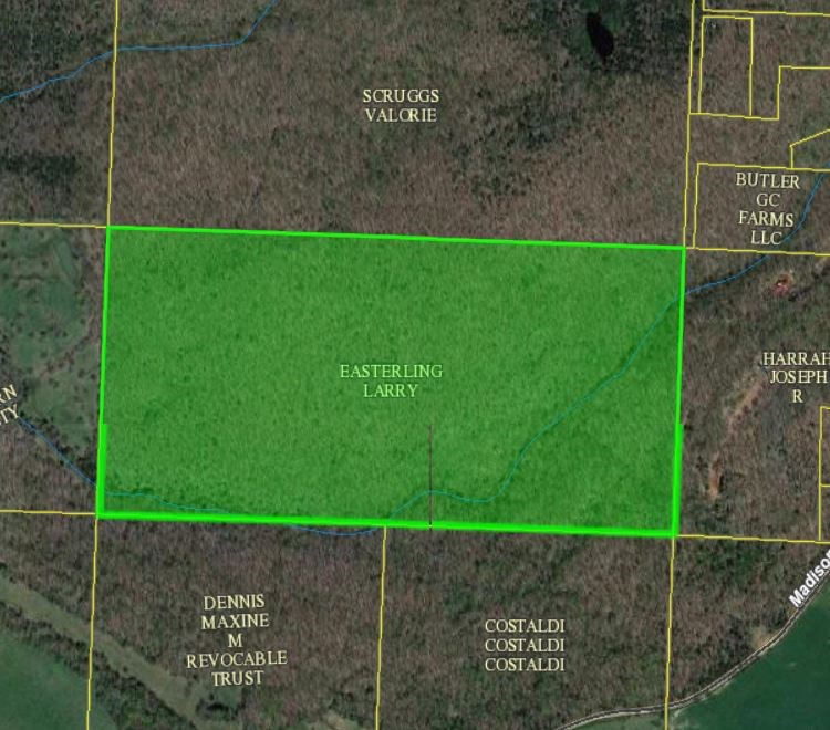 80 acres of timber in Madison County.  20 minutes from Huntsville, perfect hunting property close to everything in Northwest Arkansas