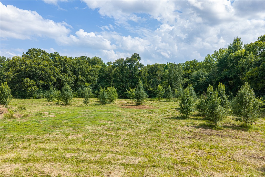Acreage-Central City - Land