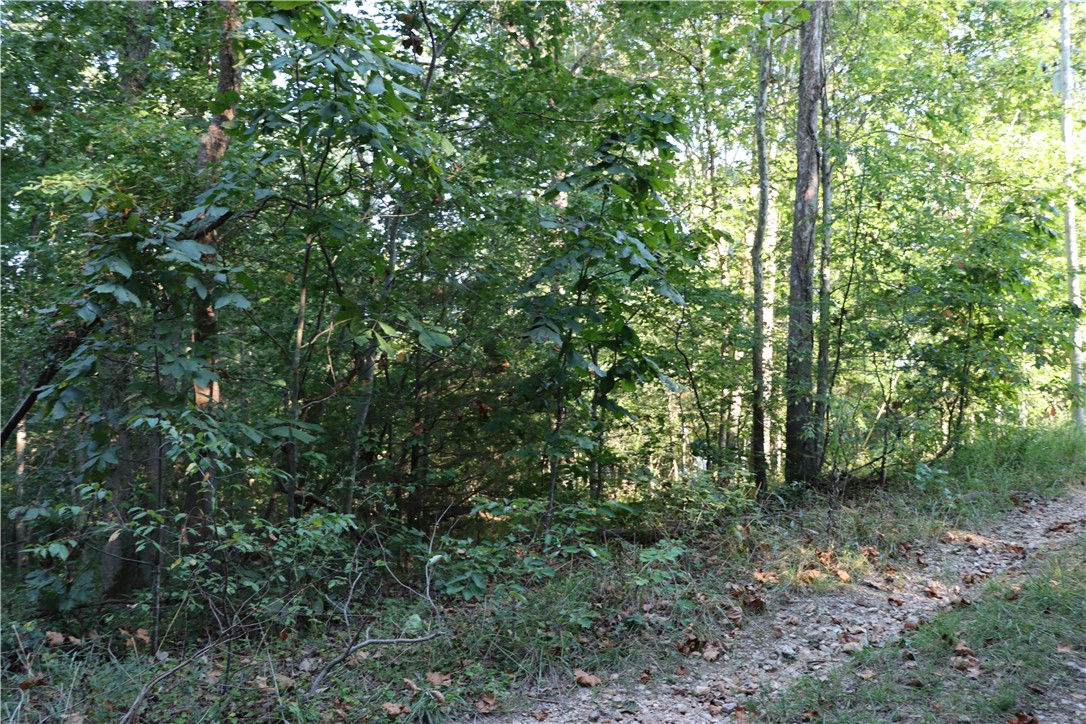 Beautiful Bella Vista lot is conveniently located on the West side of Bella Vista, close to the Tunnel Vision Mountain Bike Trail and minutes from boat ramp on Windsor.  POA amenities include swimming pools, fitness facilities, RV Park and camping, use of 7 lakes, 7 golf courses, clubhouses, tennis, shooting range, bike and walking trails, and more.