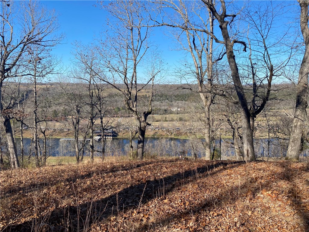 Come see the overlook views that are on this 3 acre lot, the perfect location to build your getaway cabin. This location is ideal for any fishing enthusiast, very close to three fishing resorts easily within a 20 minutes and very close to a public access point.  Located directly across the river from Gaston's White River Resort. City water and electricity. Septic will be needed for future build. Land is agent owned.