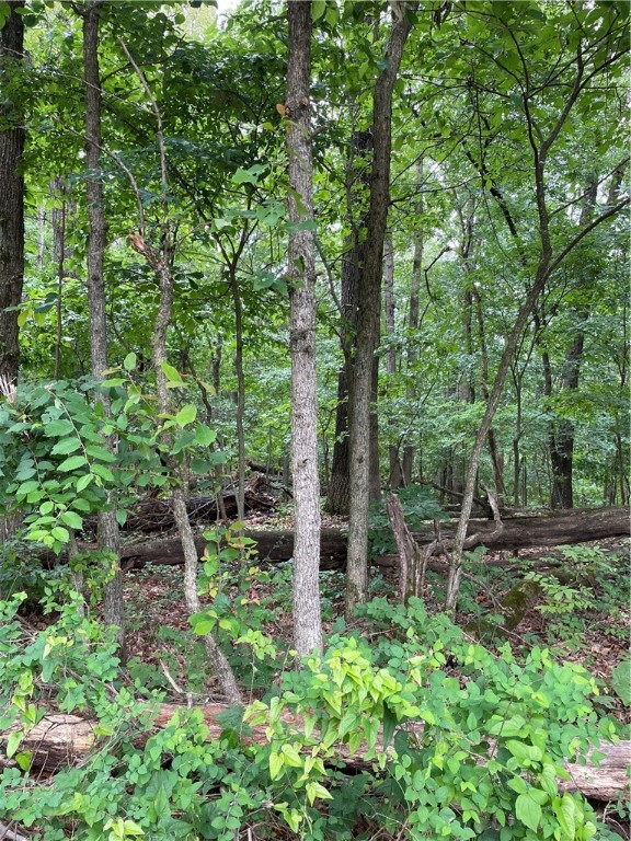 Posy Mountain Ranch Unit 10 Rurban - Land