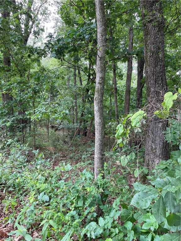 Posy Mountain Ranch Unit 10 Rurban - Land