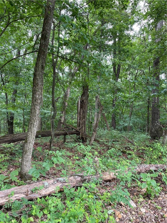 Posy Mountain Ranch Unit 10 Rurban - Land