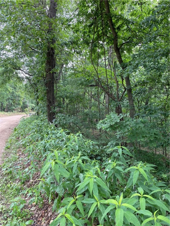 Looking for a lot to build your home in the country? This .41 acre wooded lot in Posy Mountain Ranch/ Lost Bridge Village offers a peaceful setting! Electric is at the road. A septic system and water well will be needed, and mobile or tiny homes are not allowed. Beaver Lake access and boat ramps are approximately 15 minutes away.