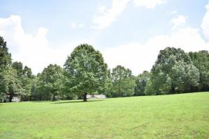 Meadowlark Hills PH I - Residential