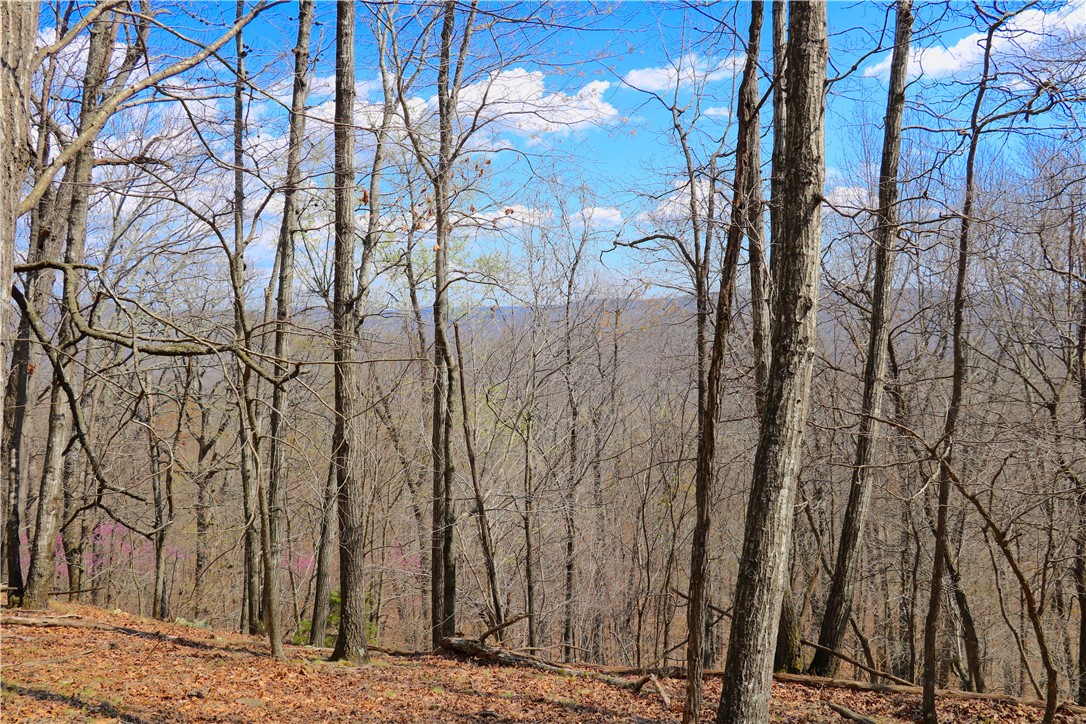 Minutes away from the town of West Fork Arkansas sits this beautiful 40 acre tract just off of the highway. As you walk onto this acreage you will find that it is very easy to navigate through the mature hardwoods. The undergrowth is full of flowering trees including Dogwoods and Redbuds. As you navigate the property, you will find a series of flat benches that offer perfect traveling corridors for the wildlife. With an abundance of wildlife it is set up perfectly for the hunter or outdoors enthusiast. The top section of this 40 acre parcel offers a flat top with amazing views over the surrounding mountains. You can also see I-49 winding through the picturesque landscape of Washington County. There is room to incorporate an ATV trail throughout the sparse mature hardwoods to make accessibility a breeze. There is a lightly flowing spring where water moves down through beautiful rock beds where daffodils are found growing in the spring months.

Property is currently landlocked.