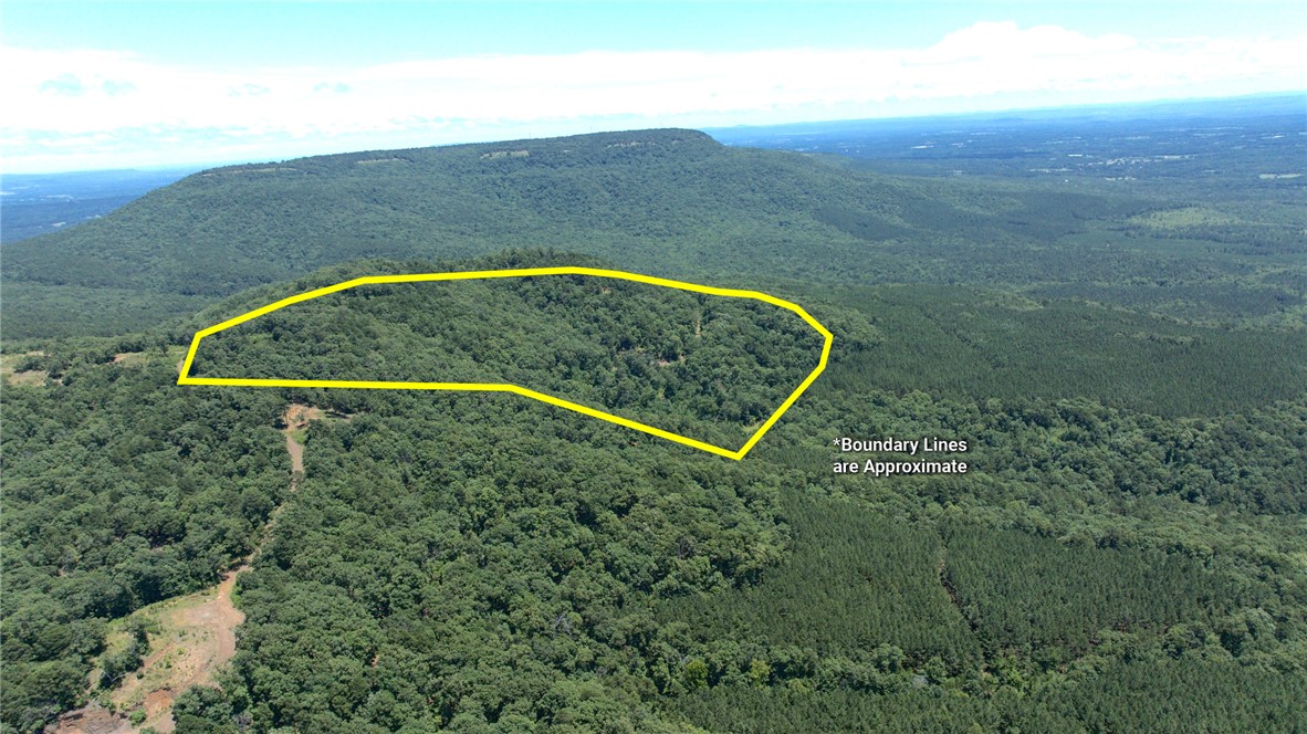 Tater Mountain East is a 30 acre mountaintop tract featuring three graded, build-ready homesites positioned across two of Tater Mountain's highest knobs, offering panoramic views of Mount Nebo, Spring Mountain, the Arkansas River Valley, and the Ouachita Mountains. 
Years of site preparation have already been completed, allowing the next owner to begin building immediately while preserving the surrounding mature hardwood forest. The property is approximately 87% hardwood timber and offers exceptional privacy with multiple elevated building opportunities. 
Located just over one mile from Mount Nebo State Park and approximately one mile from John Harris Field Airport, the tract is ideal for a primary residence, vacation home, or mountain retreat. 
Electricity is available nearby, access is provided by a privately maintained shale/gravel road, and a community well will be needed. A new survey will also be needed and the seller has agreed to split the cost. 
Additional adjoining tracts are also available.