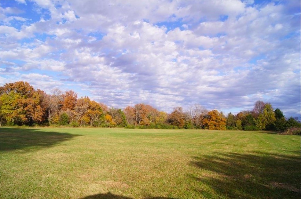 29.8 acres zoned C-3.  Open, level and perfectly positioned outside Fayetteville city limits, yet conveniently close to all the amenities you need.