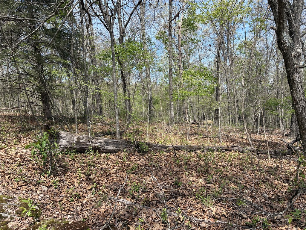 Build your dream home in Bella Vista and experience a lifestyle that blends natural beauty with exceptional amenities. This lot offers the perfect setting to enjoy the outdoors, whether you're drawn to peaceful wooded surroundings, nearby trails, or the serenity of the Ozarks. As a property owner, you’ll have access to the outstanding benefits of the Bella Vista Property Owners Association (POA), including seven golf courses, multiple lakes for boating and fishing, swimming pools, fitness centers, parks, and tennis and pickleball courts. Miles of world-class biking and walking trails—like the renowned Back 40—are right at your fingertips, creating endless opportunities for recreation and relaxation.

Whether you're building a full-time residence or a getaway retreat, this property offers more than just land—it’s your entry into a vibrant, active community and a lifestyle centered around outdoor living, connection, and convenience.
