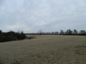 Less than 12 miles to Ponca. County road frontage with multiple building sites in both pasture and wooded areas. Signs of wildlife throughout the property. Pond on property with wet weather creek flowing out of it.  This property is also listed with more land on MLS# 139608Property lines are approximate and will require survey. Water and electric available.