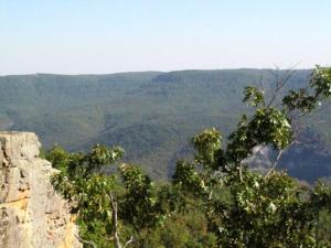 Fantastic parcel of land for building your dream home or get-away cabin! ADJOINS THE NATIONAL PARK SERVICE and this bluff, with 180degree views, is just a quick 10 min hike away and overlooks the Buffalo National River watershed!  LOCATION is only 1.8 mile down a gravel road and a mile from major trailheads.  Just a short exciting drive down to Erbie.  Utilities at road.