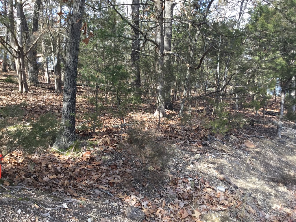 Lost Bridge Village - Land