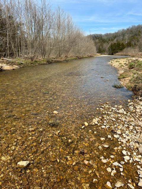 Beautiful year round creek runs through this 121 acres for over 1/2 mile. Gorgeous  bottomland pasture. Woods for hunting & ATV riding. Secluded and private yet easy drive into town. Electricity on property. Pond. Spring branch. Excellent hunting area. Extremely difficult to find land like this with a hear round creek running through it.