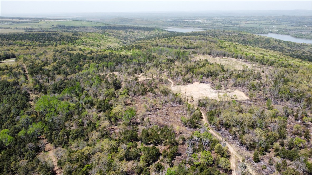 Welcome to The Cecil Prairie — 242± acres of intensively managed wildlife habitat in Franklin County, Arkansas, along the high banks of the Arkansas River. This game-rich property features native grasses, hardwood draws, loblolly pine, and wet-weather creeks, with food plots and five miles of internal roads for strategic access. A recent prescribed burn and prior timber harvest have created a diverse landscape ideal for deer, turkey, and quail. With a proven track record for trophy whitetails and consistent turkey success, plus a cleared historic homestead site perfect for a lodge or cabin, Cecil Prairie offers year-round recreational and investment potential. Cecil Prairie supports thriving populations of deer, turkey, and black bear, providing year-round recreational potential. Enjoy early fall bear hunts, summer muscadine picking, and unforgettable spring turkey hunts.