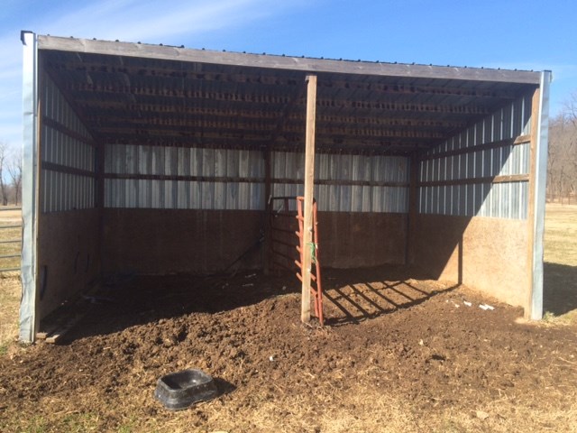 Rural - Farm