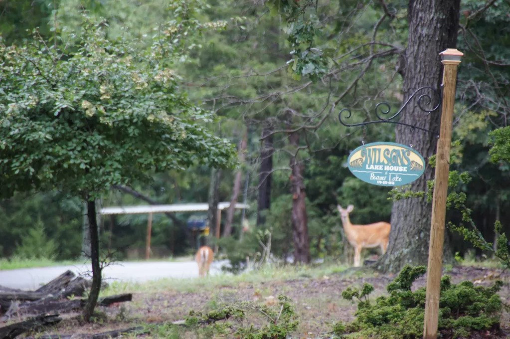 Coppermine Acres- RURBAN - Residential