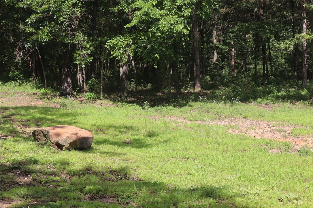 Been looking for land that is ready to go? These 2 lots with a combined size of 1.84 acres already has water meter and electric (needs meter) on site. Seller can't confirm viability of old septic system; buyer should consider putting new system in.  Zoned for Fayetteville ISD (or Elkins via school of choice); ideally situated just outside of Goshen municipality w/gorgeous pasture views and privacy .  No restrictions on this property; Seller will remove remaining items on site.