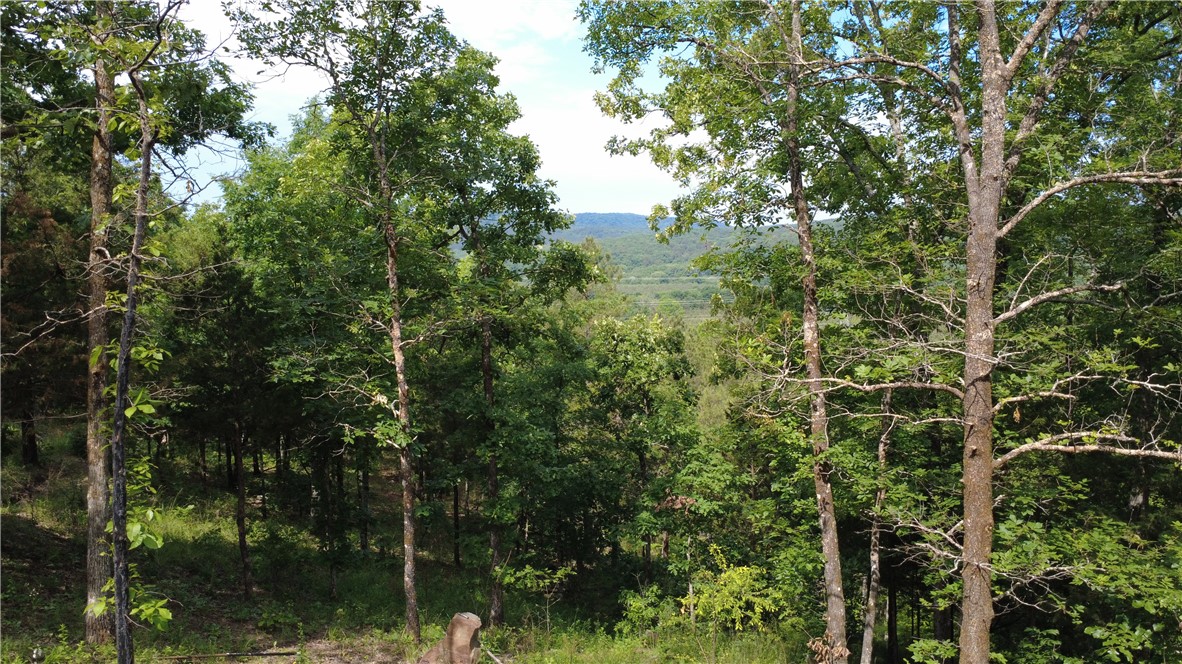 If you’ve been searching for privacy, tranquility, and a true escape, this property deserves your attention. Whether your vision is to build a cozy hideaway, craft an off-grid retreat, or secure the perfect future homesite, this land offers endless potential.
Hidden away at the end of a deeded 40-foot-wide easement, these 10 acres provide an ideal blend of seclusion, natural beauty, and opportunity. Just 6 miles from Long Pool Recreation Area, you’ll enjoy quick access to swimming, floating, hiking, and some of the region’s most scenic outdoor spaces — all before returning to the complete peace and privacy of your own retreat.