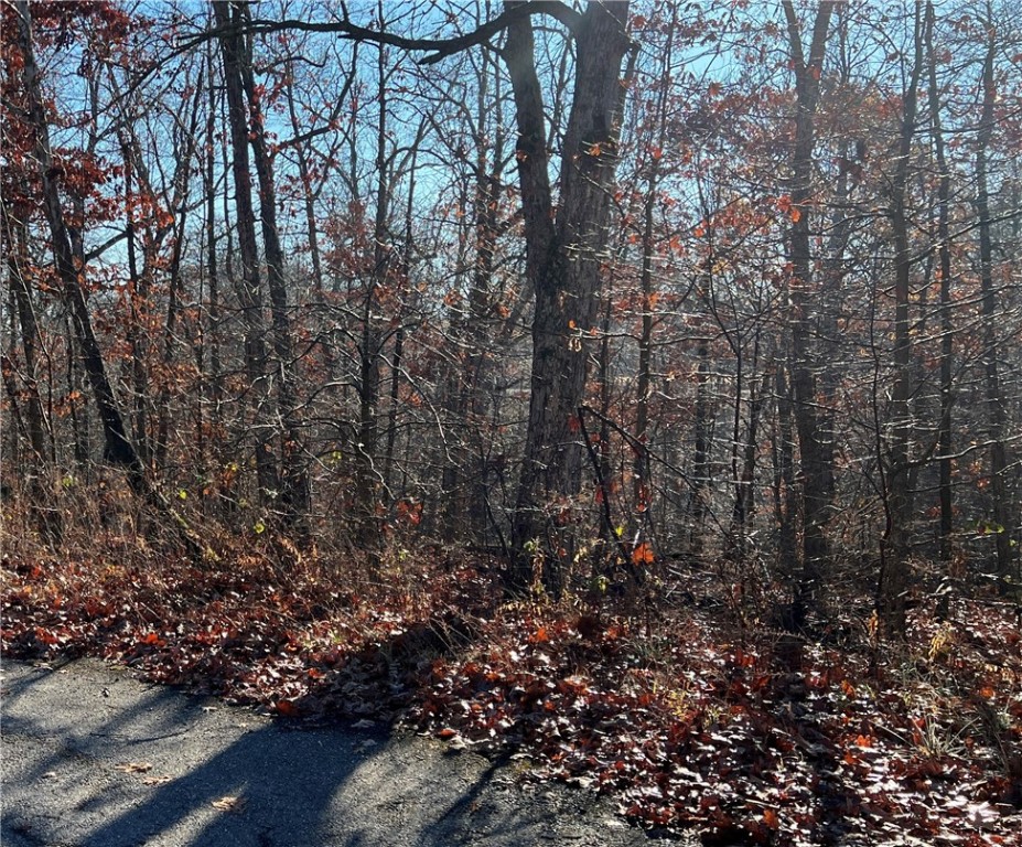 Buildable lot close to main roads for easy access to all there is to love about NWA. Close to the new interstate entrance. Beautiful lot is short drive to Biking/Walking trails, Tiree Park/boat launch for Loch Lomond, & a few miles to Highland Golf.