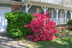 Harrison West - Residential