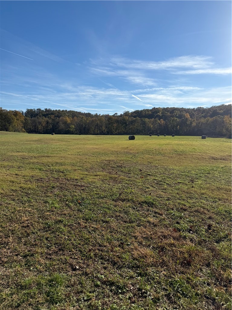 Approximately 63 incredible acres just outside of Goshen is just waiting to be yours! Beautiful, level pasture offers multiple building site possibilities with Brush Creek winding through the back before it turns into forest.  Two parcels are in Washington County (Fayetteville Public Schools) and two are in Madison County (Huntsville schools).